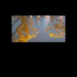 my life is full of what's not here