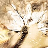 Burning Bone (instrumental)