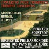 Concerto pour trompette et orchestre : (Andante – Allegro energico – Meno mosso – Allegro)