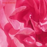 celui que se tire des balles dans le pied risque la balle perdue