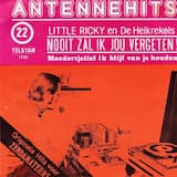 Nooit zal ik jou vergeten