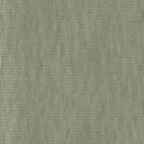 Clean Shaven Apostle