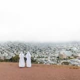 Foxglove Through the Clearcut