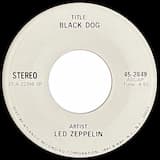 Black Dog (stereo)