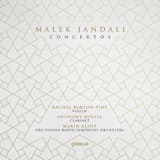 Concerto for Clarinet and Orchestra: III. Allegro moderato