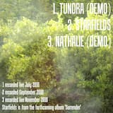 Tundra (demo)