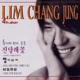 늑대와 함께 춤을