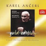 Symphony No. 1 in C Minor, Op. 68: I. Un poco sostenuto - Allegro