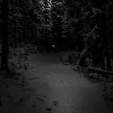 So You Decided to Become a Dumb Goth (Shit)