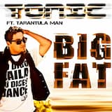 Big Fat (radio edit)