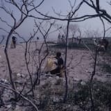 Get Ready To Interact