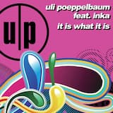 It Is What It Is (original extended mix)