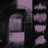 Becoming Luminescent