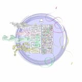 The Fire at the End of the Aeons