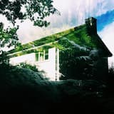 Flexford Forest Community Choir