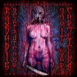 MESSAGE FROM THE DEVIL