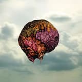 Apprentice Destroyer