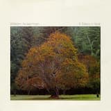 The Bricklayer's Beautiful Daughter