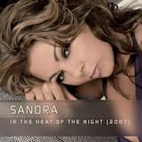 In the Heat of the Night (future vision remix, radio edit)