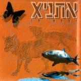 Tutim - Strawberries