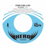 I Did It (For Hip Hop)