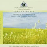 Symphony no. 10 in E minor, op. 93: I. Moderato