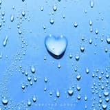 Майский дождь