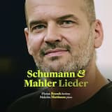 Lieder und Gesänge aus Wilhelm Meister, op. 98a: Wer nie sein Brot mit Tränen ass