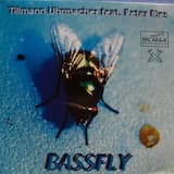 Bassfly (Club Mix)