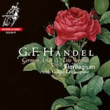 Concerto a Quattro in d minor - II. Allegro