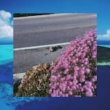 The Art Of Getting By