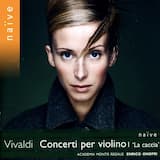 Concerto, RV 208 “Grosso mogul” in re maggiore: Allegro