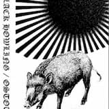 Cursed by the Ancient Forest