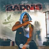 Badnis