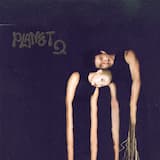 Midnight Jungle In Africa