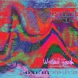 Wasted Youth