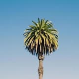 Afrobeat (Full version)