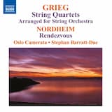 String Quartet in G minor, op. 27 (arr. Alf Årdal): I. Un poco andante - Allegro molto ed agitato