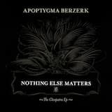 Nothing Else Matters