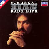 Sonata in A minor, D. 845: I. Moderato