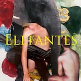 Elefantes