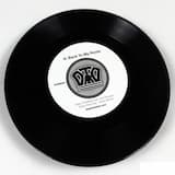 Back to my Roots (Deep Fried Dub - Dub Remix)