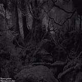 Encroaching Darkness