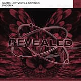 Phoenix (extended mix)