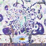 1.5m (Female Wizard remix)