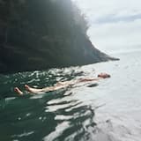 A Pulse Passes From Hand to Hand I