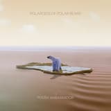 Polaroids of Polar Bears