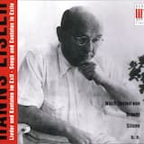 Zwei Elegien: I. (In die Städte kam ich …)