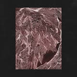 William the Conqueror