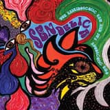 The Kaleidoscopic Kat